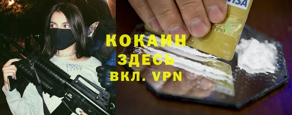 тгк Дмитровск