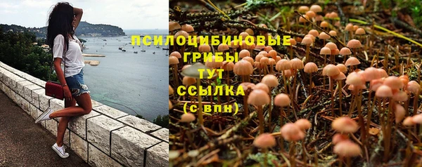тгк Дмитровск