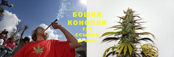 дурь Дмитриев