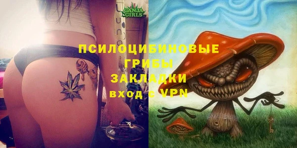 дурь Дмитриев