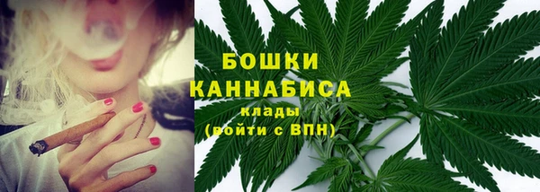 ПСИЛОЦИБИНОВЫЕ ГРИБЫ Елизово